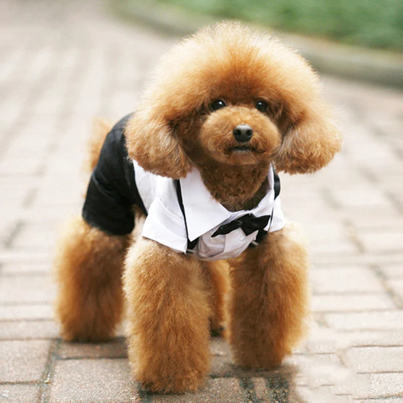 Luxury Classic Prince Tuxedo - Premium Formal Suit with Bow Tie for Dogs & Cats