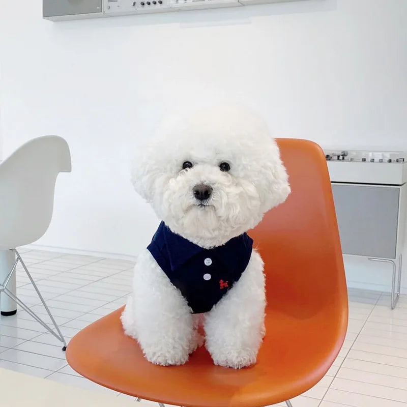Luxury Striped Polo Shirt - Summer Cooling Vest for Small & Medium Dogs