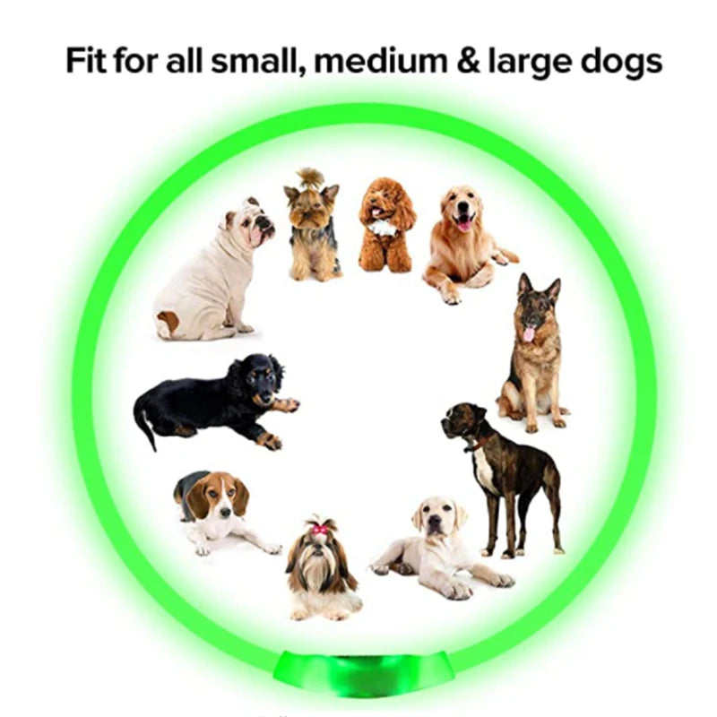 LED Safety Collar - USB Rechargeable Glowing Dog Collar for Night Visibility