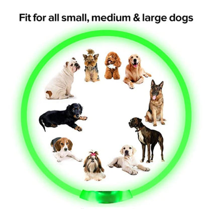 LED Safety Collar - USB Rechargeable Glowing Dog Collar for Night Visibility