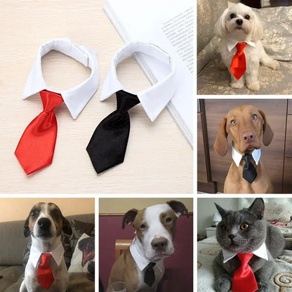 Luxury Formal Bow Tie Collar - Tuxedo Necktie for Dogs & Cats