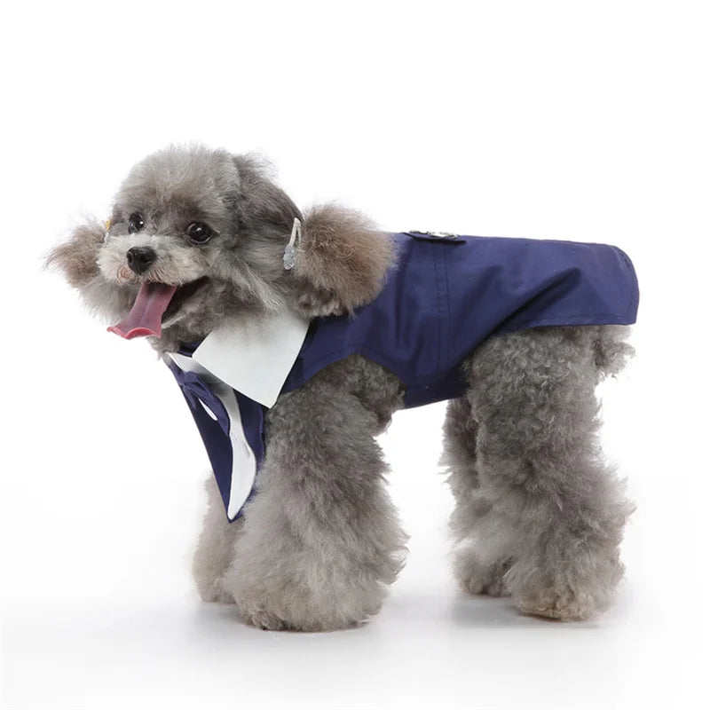 Luxurious Male Pet Costume for Small Dogs High Quality Puppy Dog Tailcoat Suit Dress Chihuahua Maltese mascotas Wedding Clothing