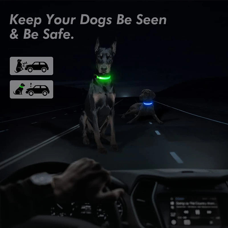 LED Safety Collar - USB Rechargeable Glowing Dog Collar for Night Visibility
