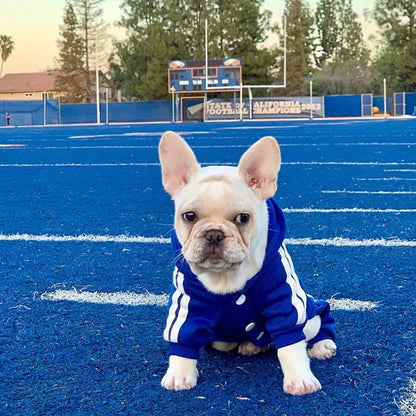 Sport Overalls Coat - 100% Cotton Warm Jumpsuit for Small Dogs